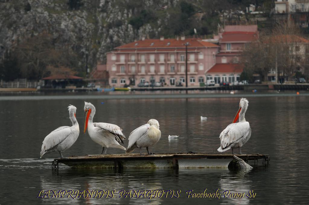 Hotel Kastoria In Kastoria City Extérieur photo